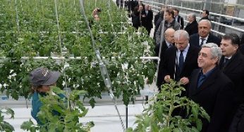 “Мавас груп” наращивает мощности