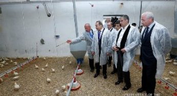 Можно мало импортировать и много производить