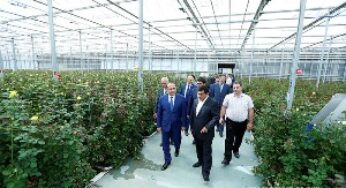 Есть предпосылки развития