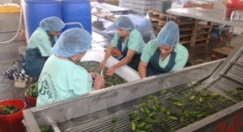 Ставка на развитие