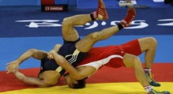 Борцовские страсти вольников