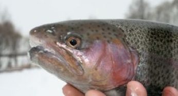 Экономия воды при росте производства