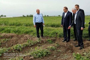 Посещение Армавирской области