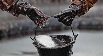 Свободное плавание нефтяного манат