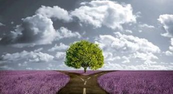 Мир на распутье