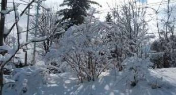 Опасности не представляют