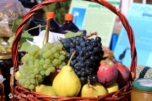 Бизнес не будет обделен вниманием: инвестпроекты готовятся к старту