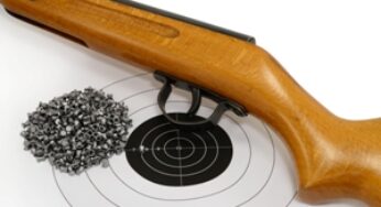 Чемпионов ждет мировое первенство