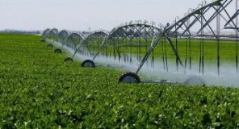 Орошаемых земель станет больше