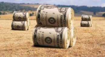 Агрострахование: результатов пока не наблюдается