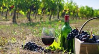 Рост производства при спаде урожая