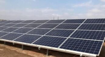 Выделена территория