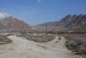 На границе Армении и Ирана создается совместная биосферная территория