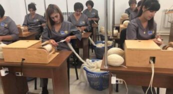 В Амасии сдан в эксплуатацию завод по производству шерсти