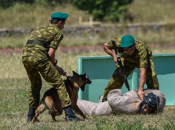 Погранвойсками предотвращены попытки нарушения госграницы