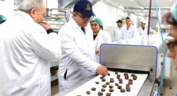 Ереванская шоколадная фабрика увеличивает объемы экспорта