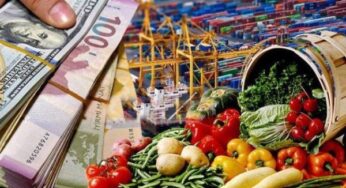 Таможенные пошлины на овощи будут аннулированы