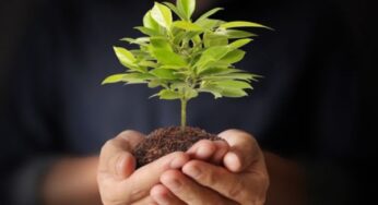 ЕС окажет содействие