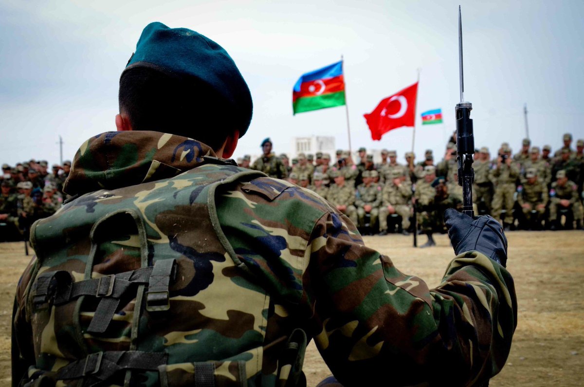 Анкара выпустила на войну против Арцаха «Cерых волков» – боевые бригады турецких национал-террористов