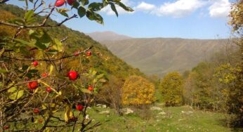 Важнейшие задачи природоохранной политики Армении