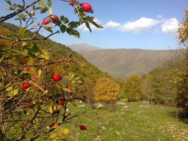 Важнейшие задачи природоохранной политики Армении