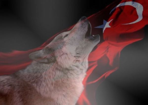 В Арцахе появились турецкие “Cерые волки”