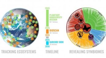 Армения наладила сотрудничество с Международным консорциумом по днк-штрихкодированию жизни iBO