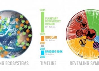 Армения наладила сотрудничество с Международным консорциумом по днк-штрихкодированию жизни iBO