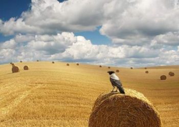 "Орошение земель"