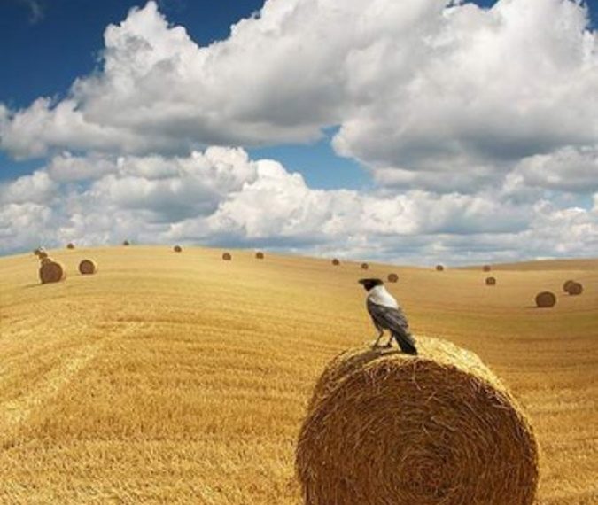 "Орошение земель"