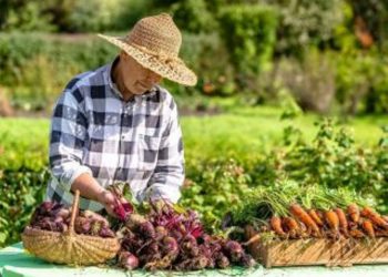 сельское хозяйство