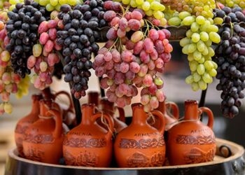 Виноделие выходит из карантина