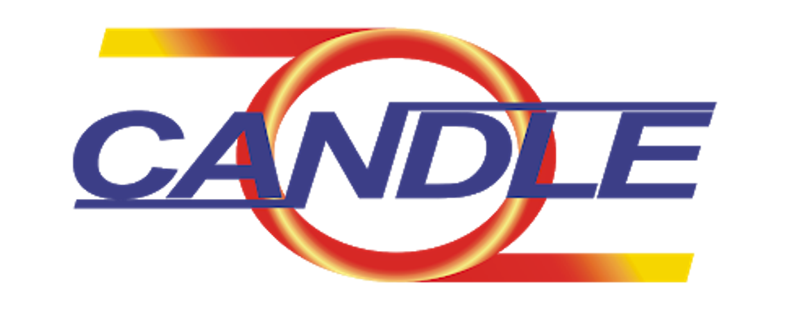 Формируя инновационную экономику — Реализация проекта CANDLE