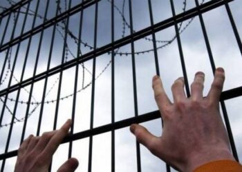 Комитет ПАСЕ принял доклад об исполнении требований резолюции о политзаключенным в Азербайджане