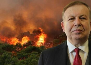 Турецкий контр-адмирал в отставке обвинил Грецию и РПК в поджоге лесов