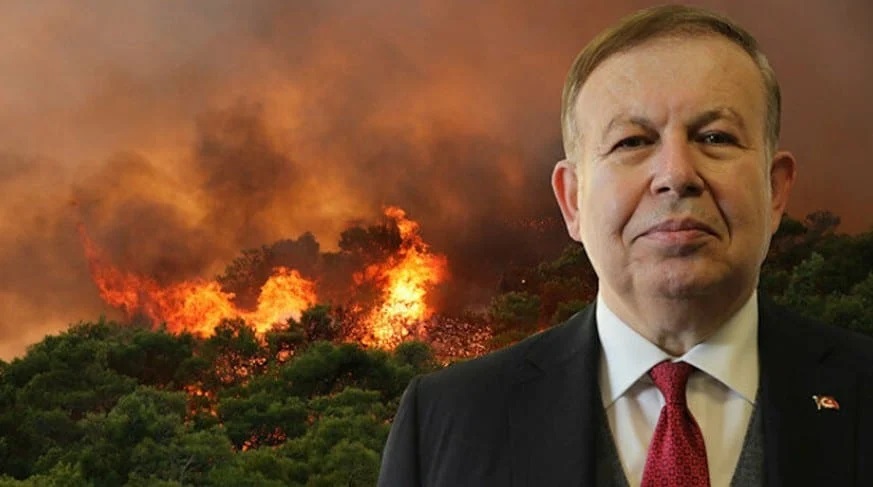 Турецкий контр-адмирал в отставке обвинил Грецию и РПК в поджоге лесов