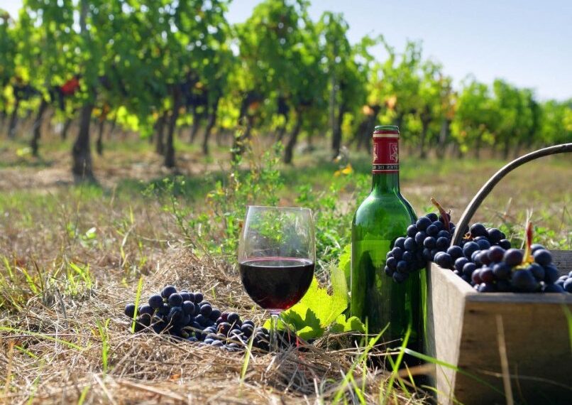 Вся истина об армянском вине на полосах Forbes