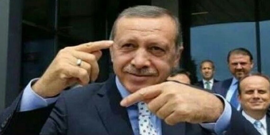 Формирующаяся ось Турция — Азербайджан — Пакистан становится ключевой в реализации проекта Эрдогана «Армия Турана»