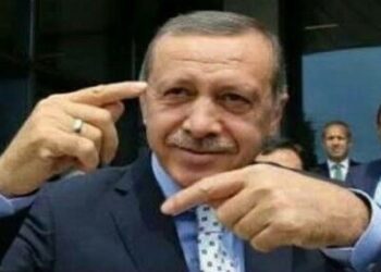 Формирующаяся ось Турция — Азербайджан — Пакистан становится ключевой в реализации проекта Эрдогана «Армия Турана»