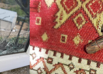 Азербайджан продолжает террор рядом с Шуши