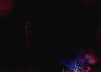 Гражданин Армении погиб при тушении пожара в Якутии