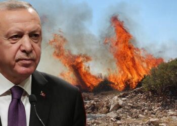 Эрдоган и Бахчели направляют пожары в Турции против всех своих врагов