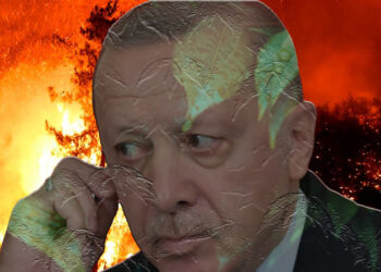 Эрдоган обвинил курдов и оппозиционных мэров