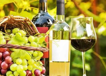 Правительство Армении решило упорядочить рынок закупа винограда