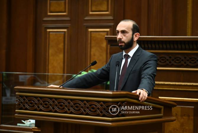 Представляющая интересы Армении команда подала серьезный иск в Международный суд ООН: Глава МИД Армении