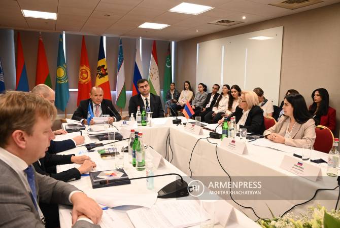 В Ереване проходит очередное заседание Совета по туризму стран СНГ