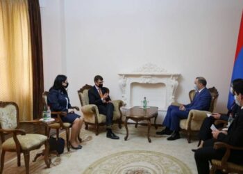 Армен Григорян и посол Королевства Нидерландов в Армении обсудили ситуацию на армяно-азербайджанской границе