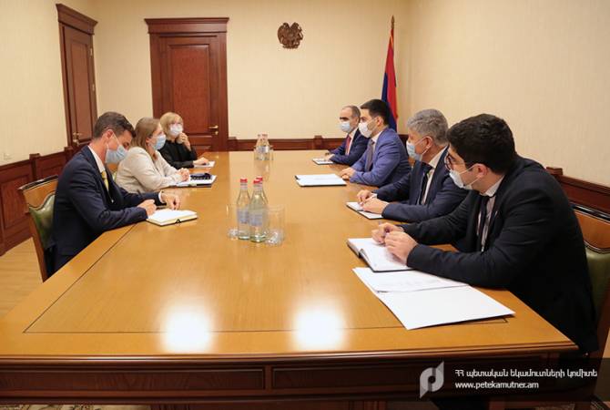 Рустам Бадасян и посол США в Армении обсудили вопросы сотрудничества в сфере налогового и таможенного администрирования