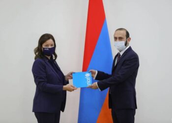 Арарат Мирзоян принял представителя ЮНИСЕФ в Армении