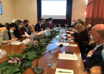 Обсуждается вопрос членства Армении в европейской миграционной сети в статусе наблюдателя